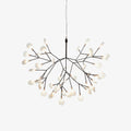 Black Heracleum Chandelier - Vakkerlight