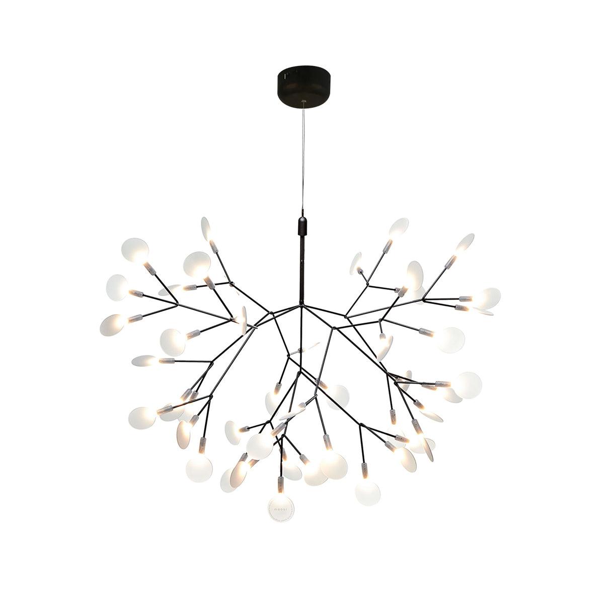 Black Heracleum Chandelier - Vakkerlight