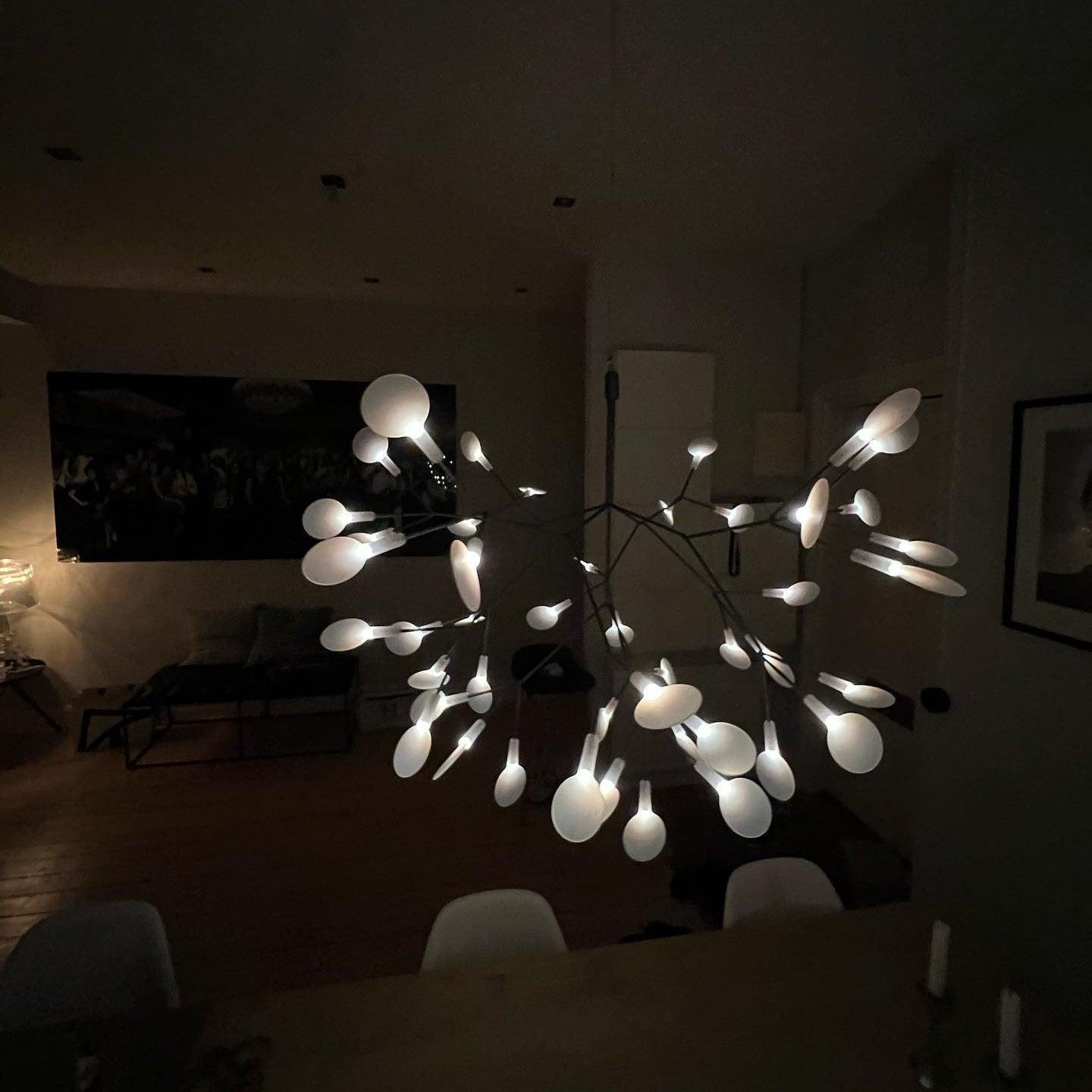 Black Heracleum Chandelier - Vakkerlight