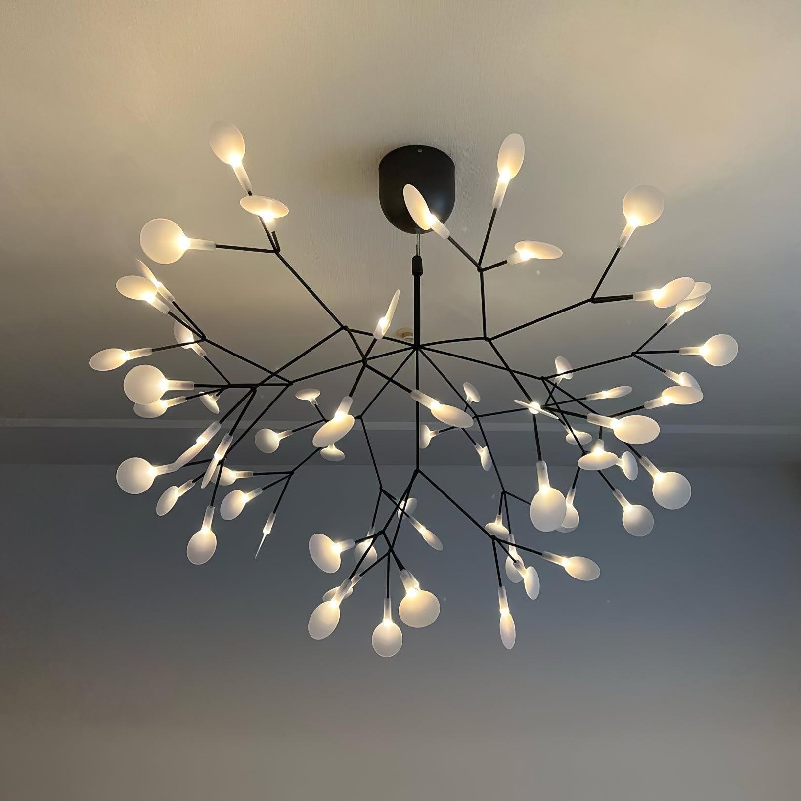 Black Heracleum Chandelier - Vakkerlight