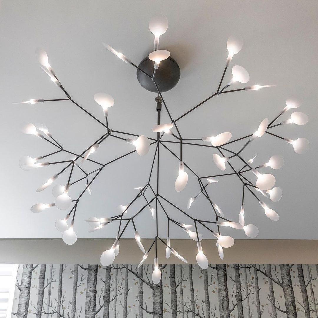 Black Heracleum Chandelier - Vakkerlight