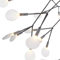 Black Heracleum Chandelier - Vakkerlight